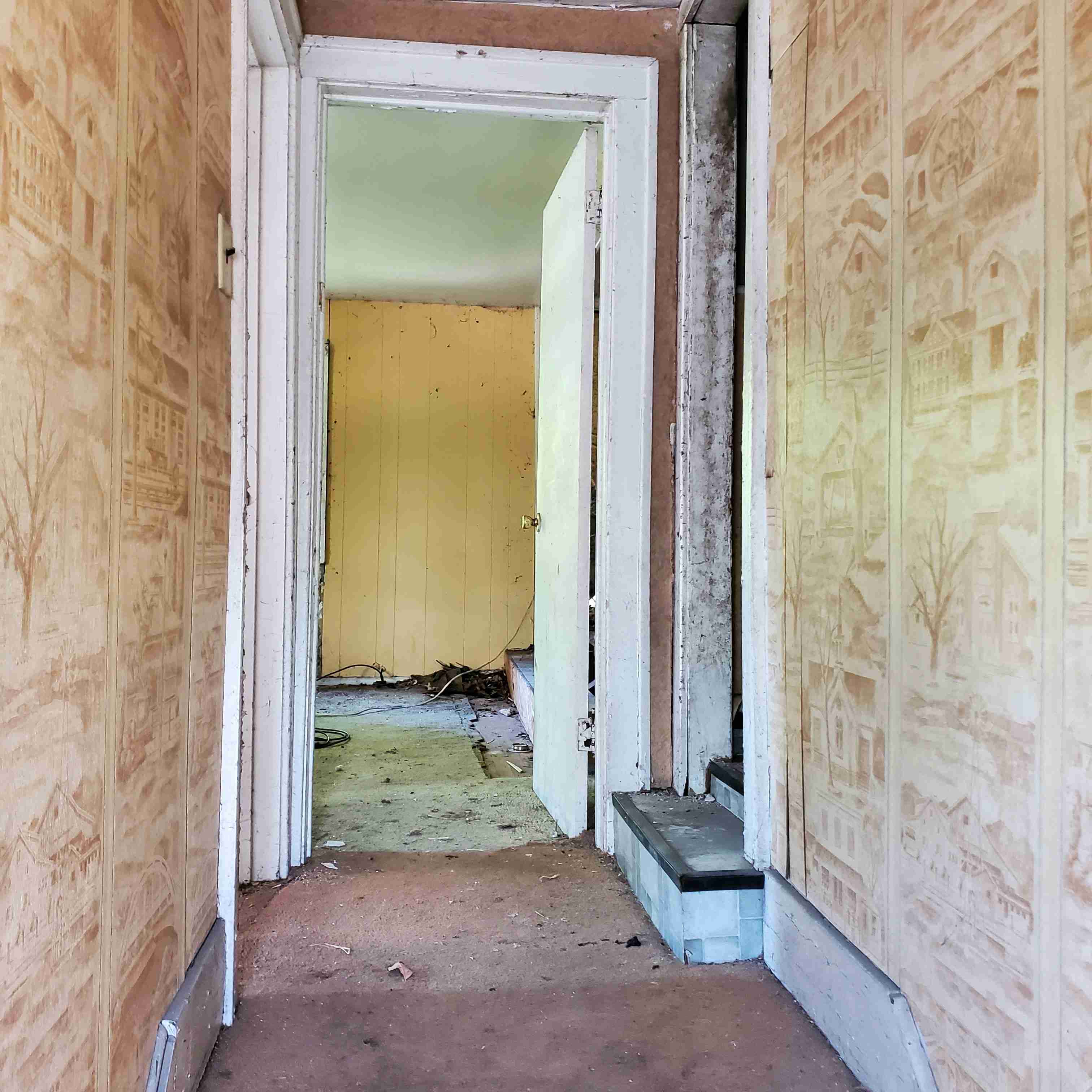 20200812_152513 (2).jpg